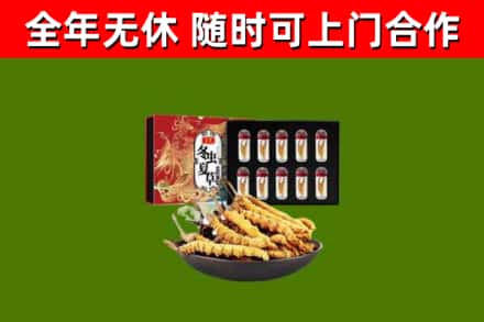 桥东区烟酒回收冬虫夏草礼盒.jpg